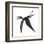 Dorygnathus, a Genus of Pterosaur from the Jurassic Period-null-Framed Art Print