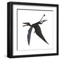 Dorygnathus, a Genus of Pterosaur from the Jurassic Period-null-Framed Art Print