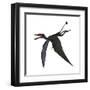 Dorygnathus, a Genus of Pterosaur from the Jurassic Period-null-Framed Art Print