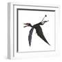 Dorygnathus, a Genus of Pterosaur from the Jurassic Period-null-Framed Art Print