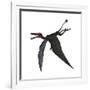 Dorygnathus, a Genus of Pterosaur from the Jurassic Period-null-Framed Art Print