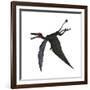 Dorygnathus, a Genus of Pterosaur from the Jurassic Period-null-Framed Art Print