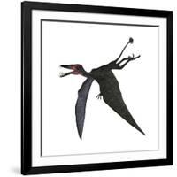 Dorygnathus, a Genus of Pterosaur from the Jurassic Period-null-Framed Art Print