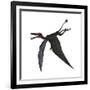 Dorygnathus, a Genus of Pterosaur from the Jurassic Period-null-Framed Art Print