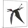 Dorygnathus, a Genus of Pterosaur from the Jurassic Period-null-Mounted Art Print