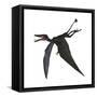 Dorygnathus, a Genus of Pterosaur from the Jurassic Period-null-Framed Stretched Canvas