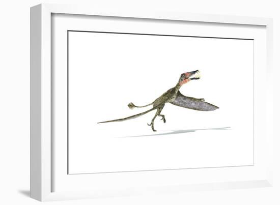 Dorygnathus Flying Dinosaur-null-Framed Premium Giclee Print