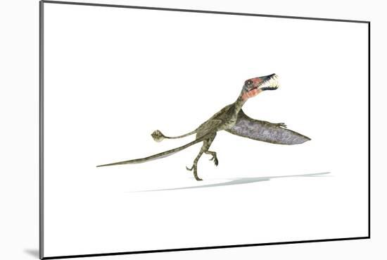 Dorygnathus Flying Dinosaur-null-Mounted Art Print