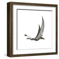 Dorygnathus Flying Dinosaur-null-Framed Art Print