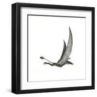 Dorygnathus Flying Dinosaur-null-Framed Art Print