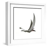 Dorygnathus Flying Dinosaur-null-Framed Art Print