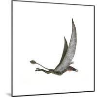 Dorygnathus Flying Dinosaur-null-Mounted Art Print