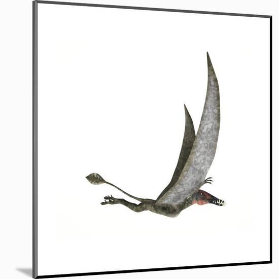 Dorygnathus Flying Dinosaur-null-Mounted Art Print