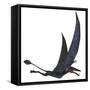 Dorygnathus Pterosaur from the Jurassic Period-Stocktrek Images-Framed Stretched Canvas