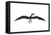 Dorygnathus Was a Pterosaur That Lived Iduring the Jurassic Period-null-Framed Stretched Canvas