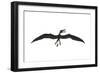 Dorygnathus Was a Pterosaur That Lived Iduring the Jurassic Period-null-Framed Art Print