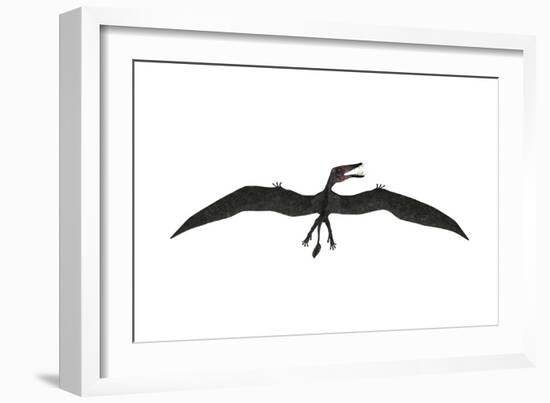 Dorygnathus Was a Pterosaur That Lived Iduring the Jurassic Period-null-Framed Art Print