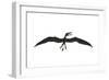 Dorygnathus Was a Pterosaur That Lived Iduring the Jurassic Period-null-Framed Art Print