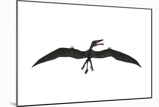 Dorygnathus Was a Pterosaur That Lived Iduring the Jurassic Period-null-Mounted Art Print