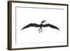 Dorygnathus Was a Pterosaur That Lived Iduring the Jurassic Period-null-Framed Art Print