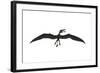 Dorygnathus Was a Pterosaur That Lived Iduring the Jurassic Period-null-Framed Art Print