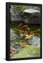 Essential Black