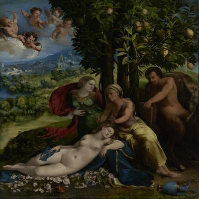Mythological Scene, c.1524