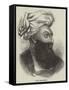Dost Mohamed-null-Framed Stretched Canvas