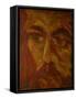 Dostoyevsky-Annick Gaillard-Framed Stretched Canvas