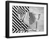 Dots and Stripes-Aida Ianeva-Framed Photographic Print