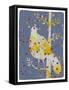 Dotted Bird-Maria Pietri Lalor-Framed Stretched Canvas