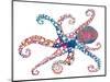 Dotted Octopus II-Gina Ritter-Mounted Photographic Print