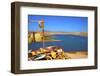 Douar Nzala Lake, Morocco, North Africa, Africa-Neil-Framed Photographic Print
