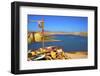 Douar Nzala Lake, Morocco, North Africa, Africa-Neil-Framed Photographic Print