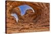 Double Arch, Arches National Park, Utah-John Ford-Stretched Canvas