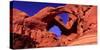 Double Arch at Arches National Park, Moab, Utah, USA-null-Stretched Canvas