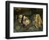 Double Arch, Pickle Springs Natural Area, Missouri, USA-Charles Gurche-Framed Photographic Print