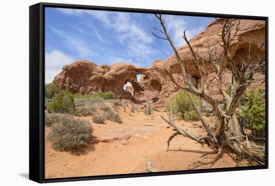 Double Arch, Windows Section, Arches National Park, Utah, United States of America, North America-Gary Cook-Framed Stretched Canvas