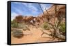 Double Arch, Windows Section, Arches National Park, Utah, United States of America, North America-Gary Cook-Framed Stretched Canvas