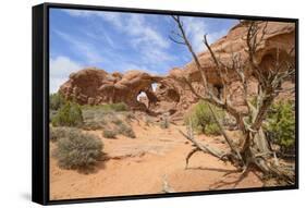 Double Arch, Windows Section, Arches National Park, Utah, United States of America, North America-Gary Cook-Framed Stretched Canvas