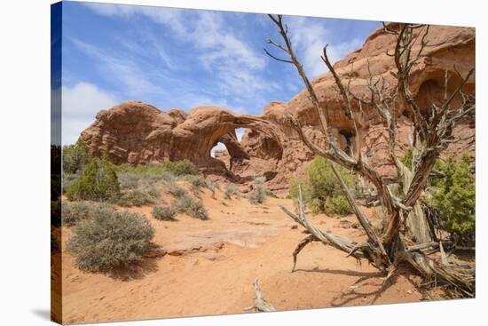 Double Arch, Windows Section, Arches National Park, Utah, United States of America, North America-Gary Cook-Stretched Canvas