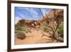 Double Arch, Windows Section, Arches National Park, Utah, United States of America, North America-Gary Cook-Framed Photographic Print