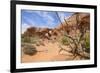 Double Arch, Windows Section, Arches National Park, Utah, United States of America, North America-Gary Cook-Framed Photographic Print