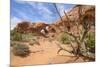 Double Arch, Windows Section, Arches National Park, Utah, United States of America, North America-Gary Cook-Mounted Photographic Print