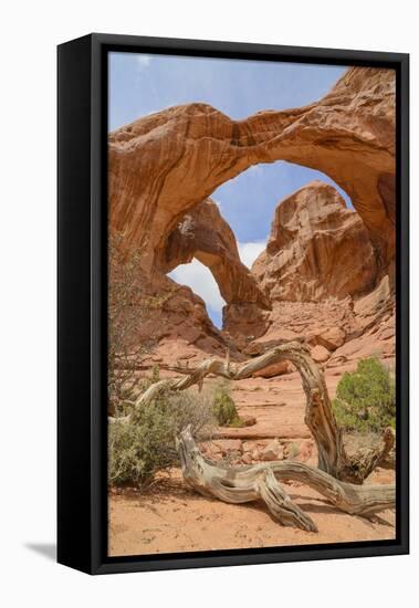 Double Arch, Windows Section, Arches National Park, Utah, United States of America, North America-Gary Cook-Framed Stretched Canvas