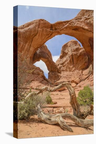 Double Arch, Windows Section, Arches National Park, Utah, United States of America, North America-Gary Cook-Stretched Canvas
