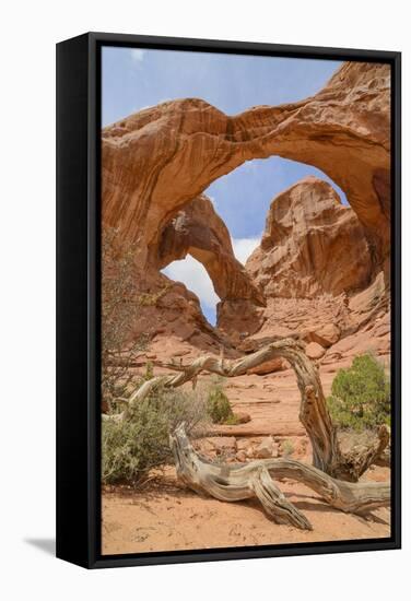 Double Arch, Windows Section, Arches National Park, Utah, United States of America, North America-Gary Cook-Framed Stretched Canvas