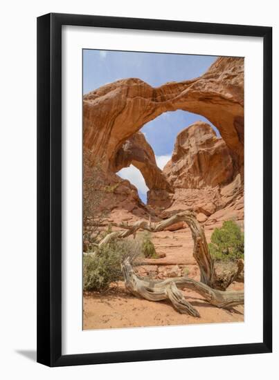 Double Arch, Windows Section, Arches National Park, Utah, United States of America, North America-Gary Cook-Framed Photographic Print