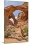Double Arch, Windows Section, Arches National Park, Utah, United States of America, North America-Gary Cook-Mounted Photographic Print