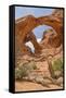 Double Arch, Windows Section, Arches National Park, Utah, United States of America, North America-Gary Cook-Framed Stretched Canvas